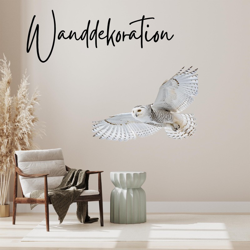 GRAZDesign Owl Wall Sticker 3D Snow Owl Wall Sticker Decoration