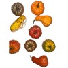 Fall Harvest Decorative Gourd Set of 9, Artificial Pumpkins and