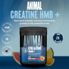 Creatina + Hmb Animal Pak Creatine Hmb Vitamina D 30