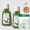 Rausch [Gift Wrapping] [Double Set] Rausch Seaweed Degreasing Shampoo 200ml + GIFT / [선물포장] [더블기획] 라우쉬 씨위드 디그리징 샴푸 200ml+GIFT
