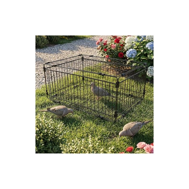 Bird Trap Cage Pigeon Quail Chicken Outdoor Trapping Live Small
