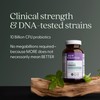 New Chapter All-Flora Probiotic for Advanced Digestion & Complete Gut