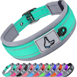 Joytale 19-23 inches Dog Collar and 6FT Leash, Reflective Heavy Duty Neoprene Padded Pet Collars and Leashes for Large Dogs