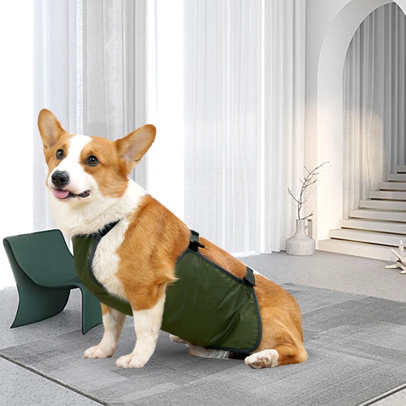 Large Dog Belly Band Waterproof Breathable Full Protection Easy to