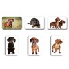 Merchandise for Fans Dachshund / Teckel / Dachshund - 6