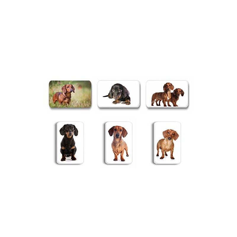 Merchandise for Fans Dachshund / Teckel / Dachshund - 6