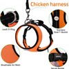 Adjustable Chicken Harness Diaper (5.4ft Leash) – Breathable & Washable