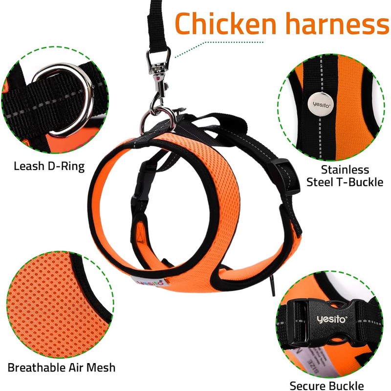 Adjustable Chicken Harness Diaper (5.4ft Leash) – Breathable & Washable