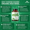 Zazzee USDA Organic Holy Basil 10:1 Extract, 6000 mg Strength,