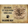 Ontrada Holzschild 20x30cm Selkirk Rex Katze ohne kein Heim Holz