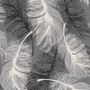 CWV Wallcoverings Feather Wallpaper Glitter Effect Textured Monochrome Grey Black