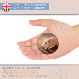 Destination Vinyl ltd Magnet for Refrigerator, Fridge - Cute Blonde Hamster Rodent Pet for Office, Cabinet and Whiteboard, Magnetic Stickers, 24501