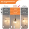 Shenmoyl Battery Operated Pendant Light 5000mAh Rechargeable Chandelier with Remote