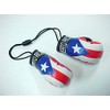 Puerto Rico Country Flag Mini Boxing Gloves to Hang On