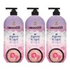 Organist Himalayan Pink Salt Body Wash Rose Scent 900ml 3-pack / 오가니스트 히말라야 핑크솔트 바디워시 로즈향 900ml 3개