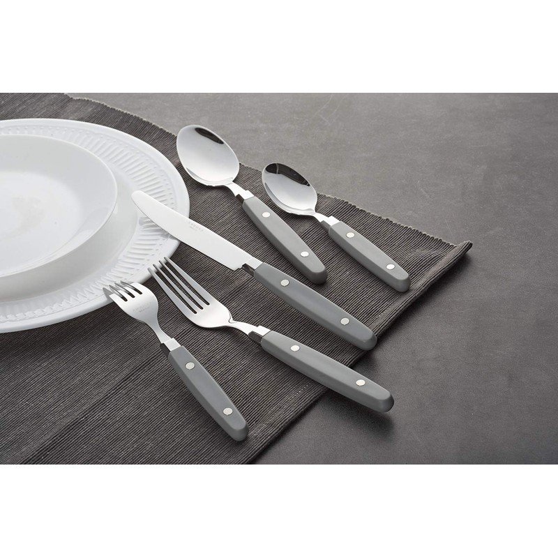 Annova Cutlery Set 20 Pieces Stainless Steel Color Handle with