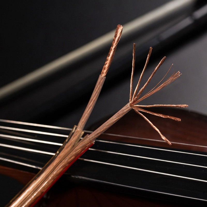 Speaker Cable, Speaker Cord, Audio Cable, High Purity OFC (10m,