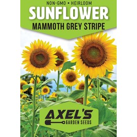 Bulk Mammoth Sunflower Seeds for Planting - Heirloom Non-GMO Mammoth Grey Stripe Sunflowers - Plant & Grow Sunflowers in Home Outdoor Garden, Great Gardening Gift -1 Ounce Approx 300 Seeds