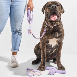 Wild One Wild One Leash - Standard - Lilac