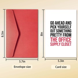 hvdler Funny Birthday Card for Boss Coworker, National Boss Day Card for Her Him, Hilarious New Job Card, Leaving Card, Pick Out Something Pretty from The Office Supply Closet