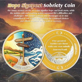 Hope Signpost 1 Month Sobriety Coin - Reborn from Storm AA Coins - One Month AA Chips and Medallions - 1-10 Years NA AA Celebrate Recovery Addicts - Narcotics Alcoholics Anonymous Gifts for Men Women