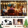 Rossesay 12 Pcs S14 Bulbs for Outdoor String Lights 1.5