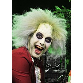 Adult Deluxe Beetlejuice Style Wig Headpiece one size