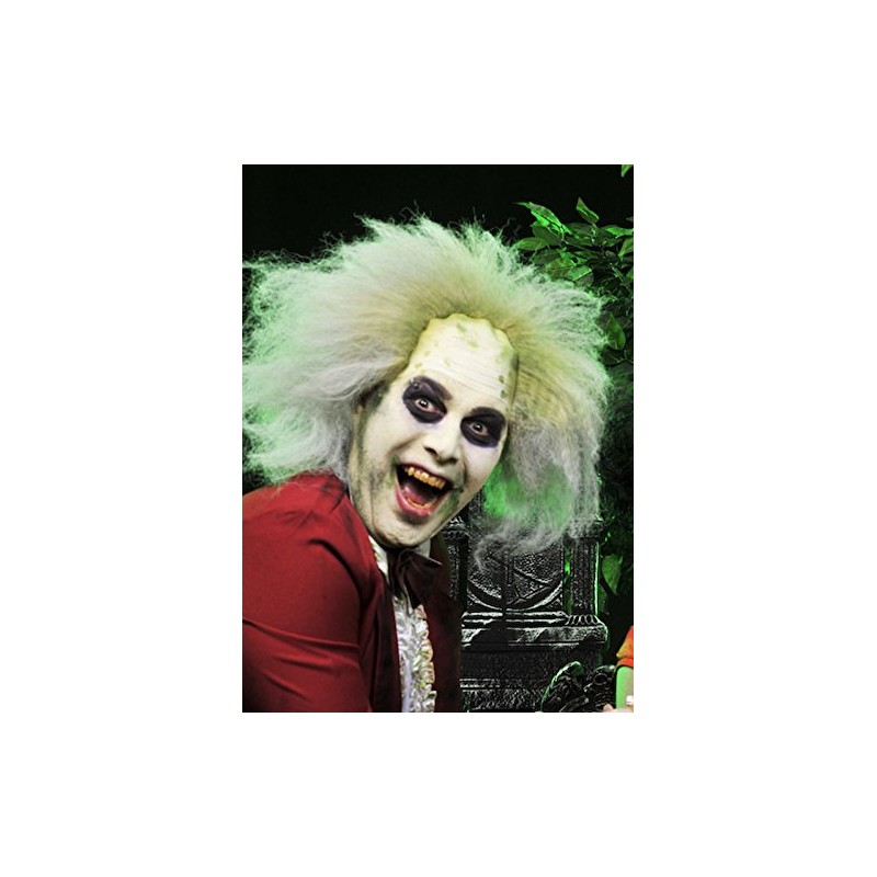 Adult Deluxe Beetlejuice Style Wig Headpiece one size