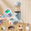 Rabbit Heated Water Bottle 500ml Bunny Hanging Water Fountain Automatic