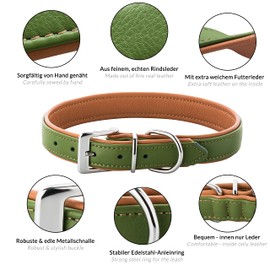Schnüffelfreunde Fun Line Leather Dog Collar for Large, Medium and Small Dogs, Leather Collar for Dogs, Padded and Robust (L - 36-45 cm, Green/Beige)