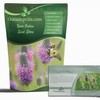 Outsidepride Purple Prairie Clover Seeds - 1000 Pcs Perennial Seeds