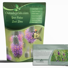 Outsidepride Purple Prairie Clover Seeds - 1000 Pcs Perennial Seeds for Planting, Easy to Grow, Drought & Heat Tolerant, High Protein Forage for Livestock, Ideal for Meadow Gardens, & Xeriscaping