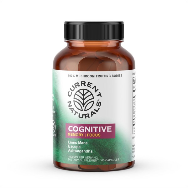 Mushroom Current Naturals Cognitive Lions Mane Mushroom Immune System Brain