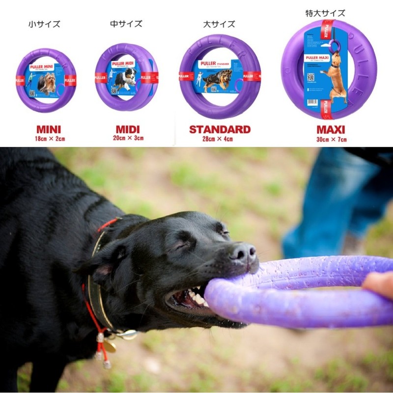 PULLER Midi Puller for Small and Medium Dogs