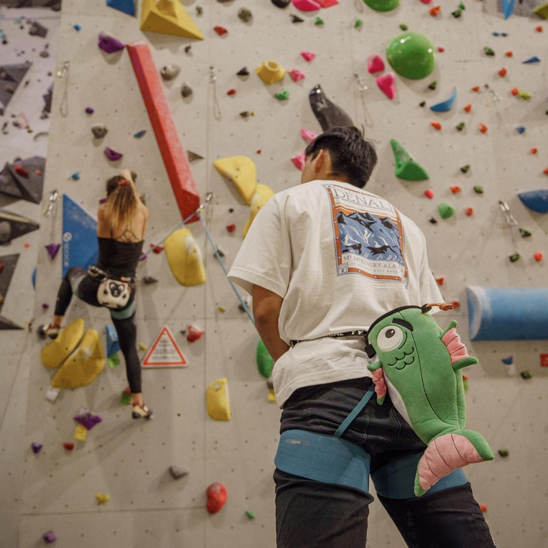 YY Vertical - Fish Chalkbag for Rock Climbing