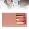Makeup Brush Set Loose Powder Eyeshadow Brush Portable Skin Friendly