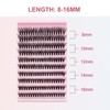 XQMMGO False Eyelashes, 40D, Individual Eyelashes, D Curl, False, 8-16