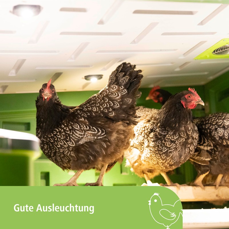 Kerbl SmartCoop 70621 LED Stable Lighting 1.5 W with 100