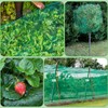 Bird Protection Net, Bird Net, Tight Mesh, 4 x 10
