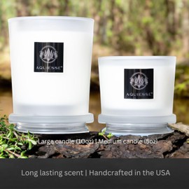 Aquiesse Monterey Pine Scented Large Candle, 10 oz