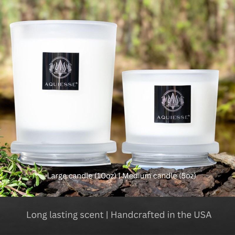 Aquiesse Monterey Pine Scented Large Candle, 10 oz