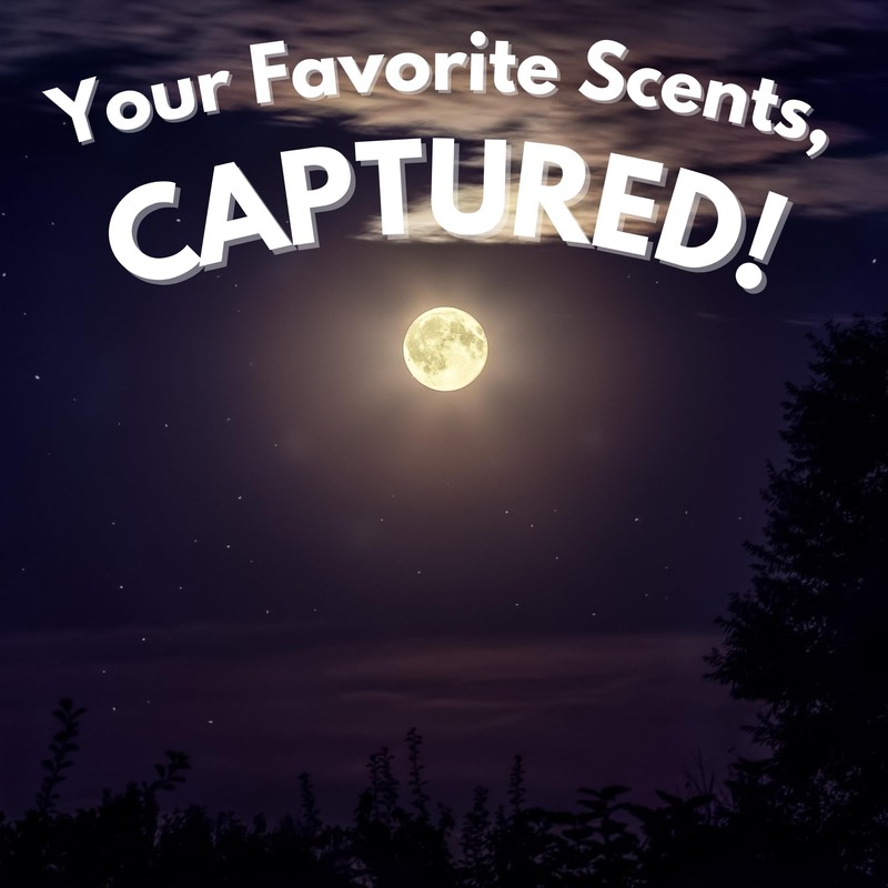 Ni-712 Neutron Industries -continuous Spray Warm Summer Night 12-oz