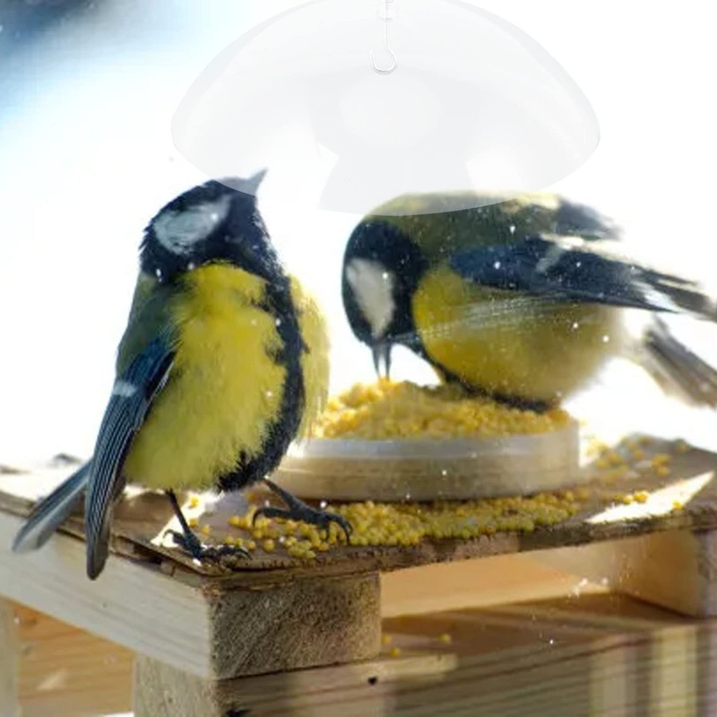 Clear Dome Bird Feeder Cover, Large Diameter Weather Protection for