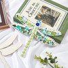 WEBEEDY Make 2 Dragonfly Glass Mosaic Kit - Creativity DIY