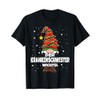 Nurse Gnome Christmas Gnome Design Women's T-Shirt