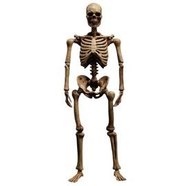 HiPlay 101TOYS 1/12 Skeleton Frame Body NO.ES002 Original Color Edition Body Figure, Super Movable