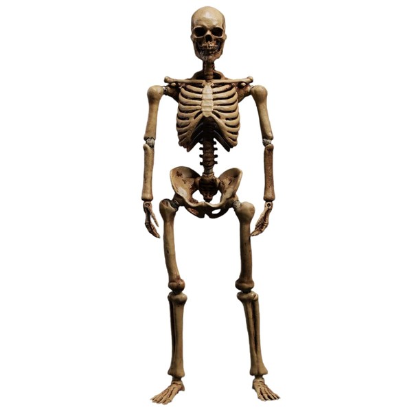 HiPlay 101TOYS 1/12 Skeleton Frame Body NO.ES002 Original Color Edition