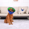Recovery Collar for Dogs, Dog Cones after Surgery Soft Dog
