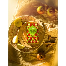 Pukka - Wild Apple & Cinnamon with Ginger Tea - 40g