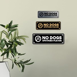 Motto Lita Standard Paws, No Dogs Upstairs Please (White) - Small